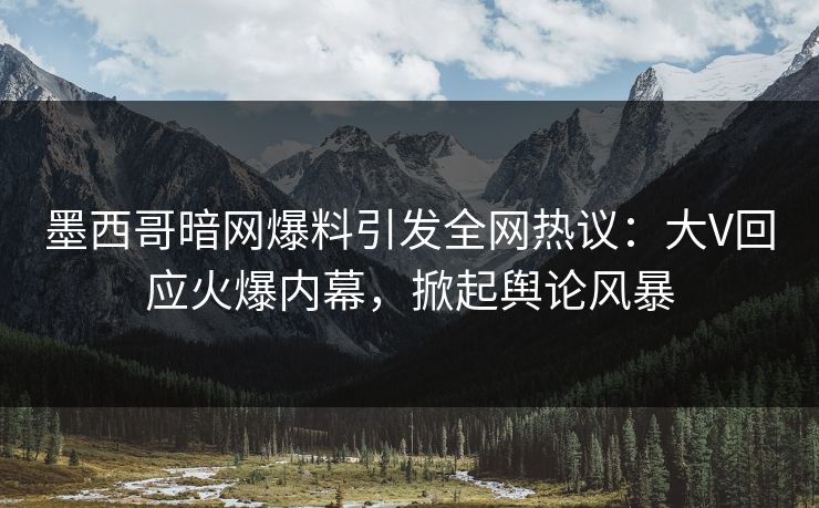 墨西哥暗网爆料引发全网热议：大V回应火爆内幕，掀起舆论风暴