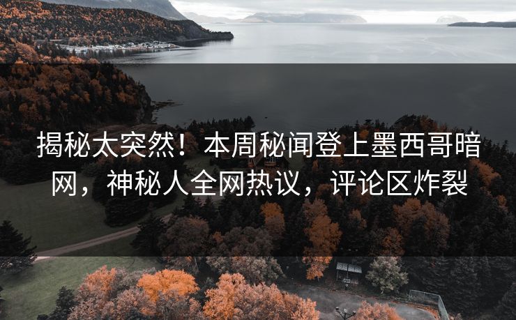 揭秘太突然！本周秘闻登上墨西哥暗网，神秘人全网热议，评论区炸裂