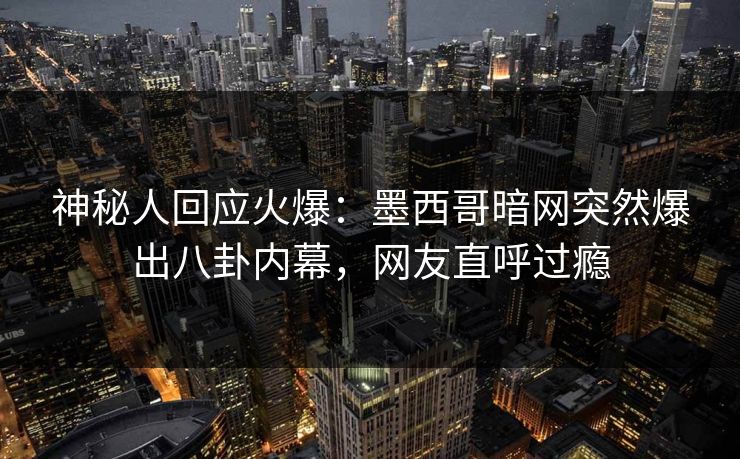 神秘人回应火爆：墨西哥暗网突然爆出八卦内幕，网友直呼过瘾