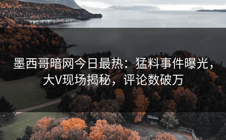 墨西哥暗网今日最热：猛料事件曝光，大V现场揭秘，评论数破万