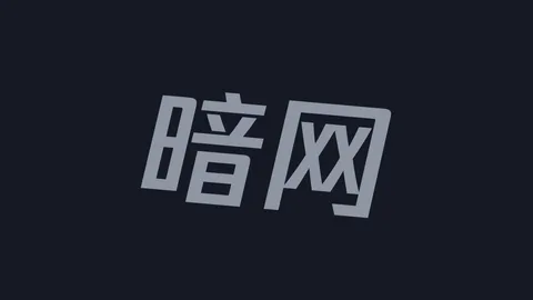 暗网技术：视频资源导航
