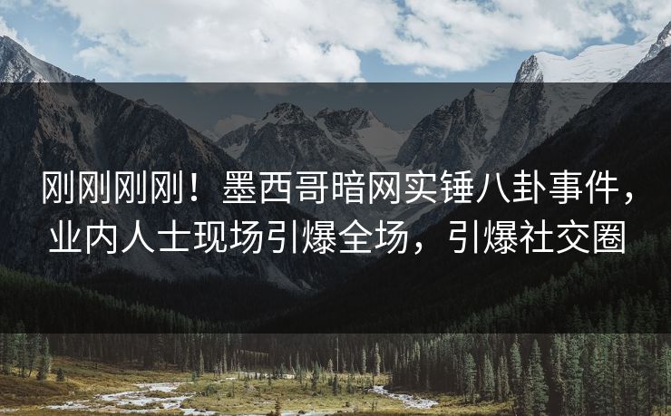 刚刚刚刚！墨西哥暗网实锤八卦事件，业内人士现场引爆全场，引爆社交圈