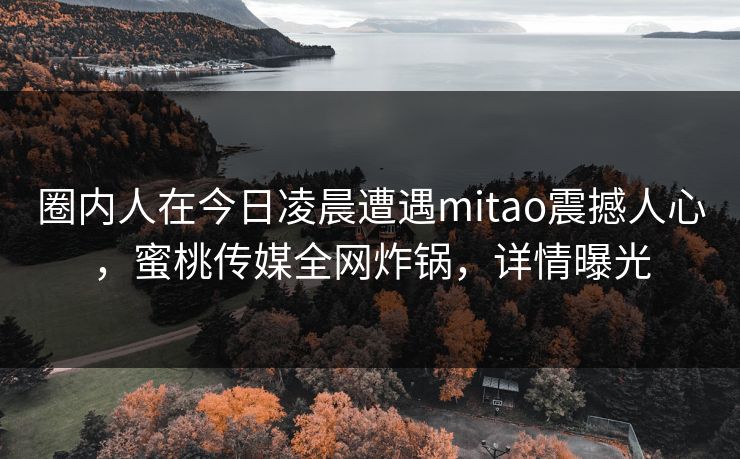 圈内人在今日凌晨遭遇mitao震撼人心,蜜桃传媒全网炸锅,详情曝光 圈内人在今日凌晨遭遇mitao震撼人心,蜜桃传媒全网炸锅,详情曝光